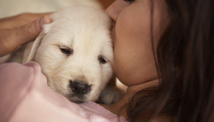 DailyPuppy article image
