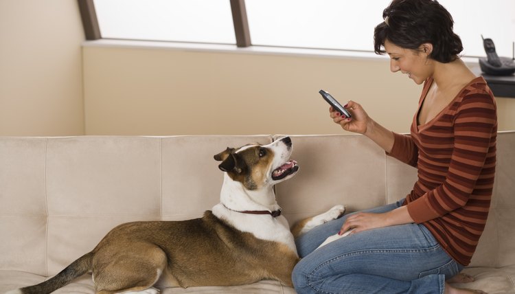 dog breeder receiving phone call