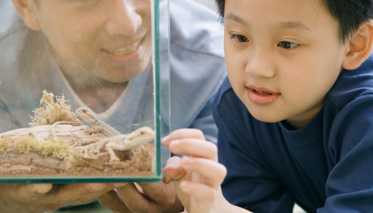 Sharing nature with preschoolers involves both math and science.