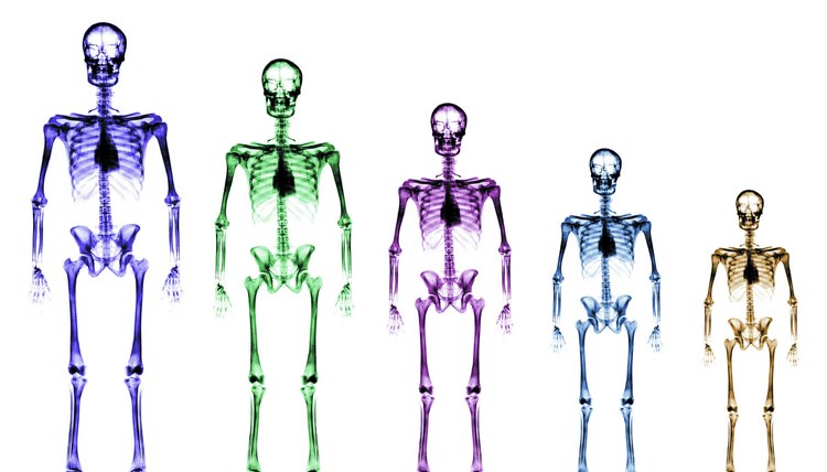 Advanced certifications assist in diagnosing and treating osteoporosis.