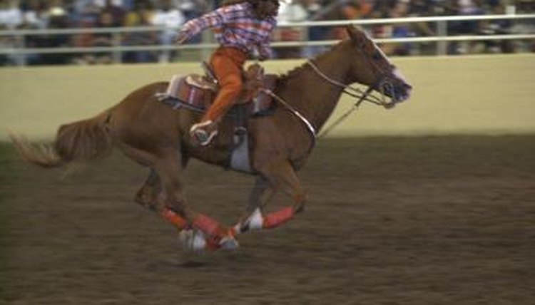 Western Saddle Fitting Chart