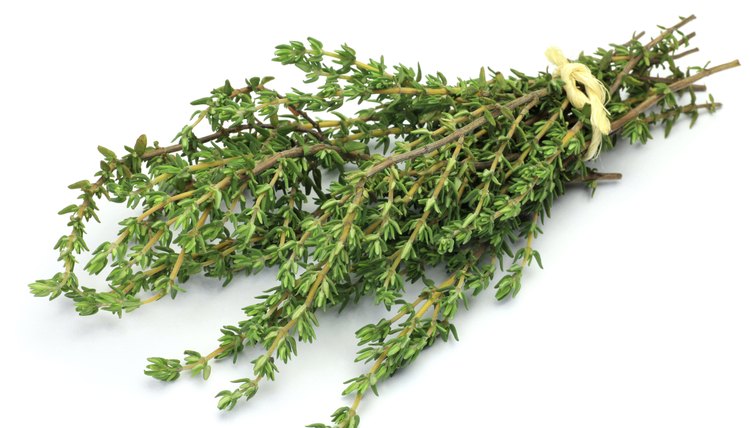 thyme