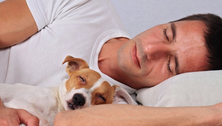 Man and dog sleeping together. Pet Allergies concept