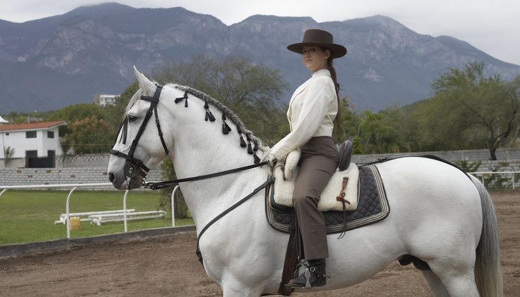 How to Determine Saddle Seat Size
