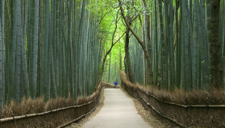 Kyoto