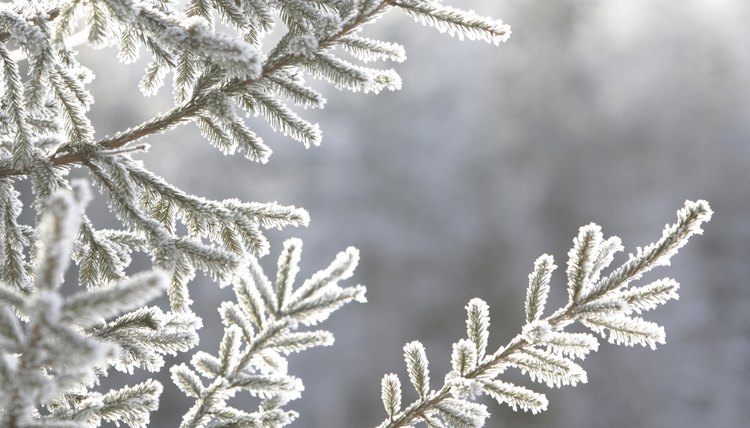 Learn about the winter weather with a January-themed activity.