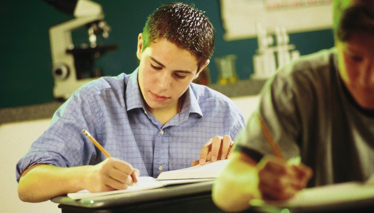 I Am A Visual Learner, Essay Sample