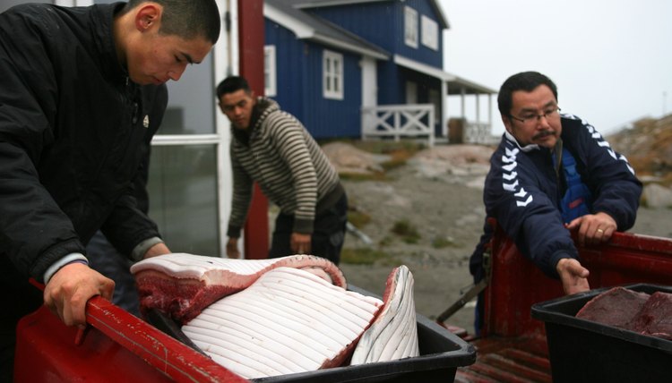 Inuit fishermen in Greenland.