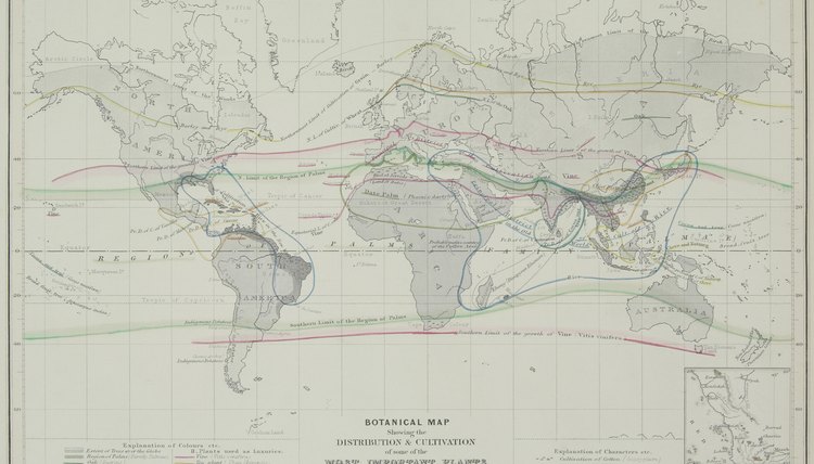 It's not too hard to imagine the continents fitting together.