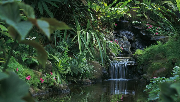 Lush, abundant vegetation is a sign of highly effective nutrient cycles.