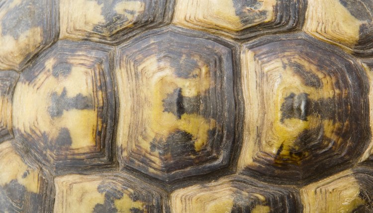 Textures are everywhere, so let your toddler explore.