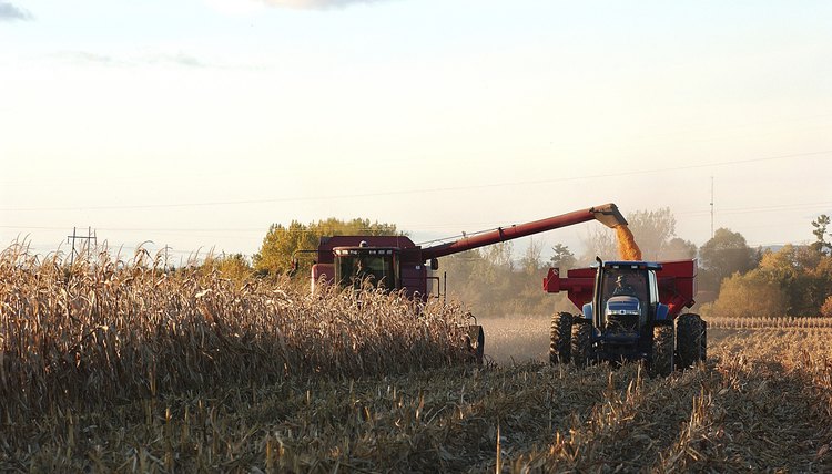 Nutrition and agriculture students learn how food affects their communities and the country.