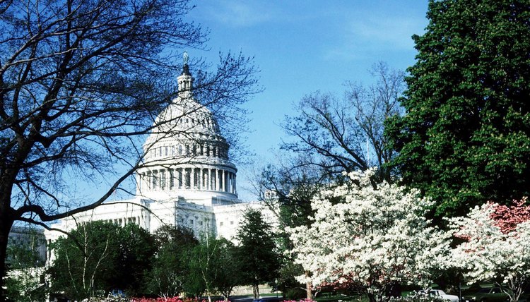 AP U.S. Government and Politics focuses on critical analysis of patterns in politics.