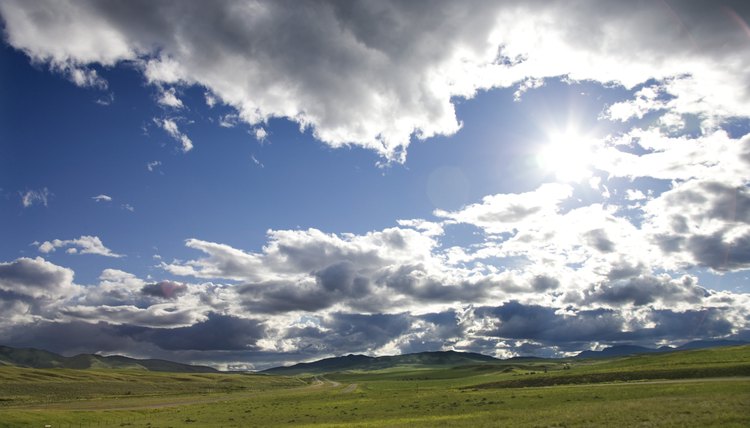 Things About the Grasslands-Temperate Ecosystem | Sciencing