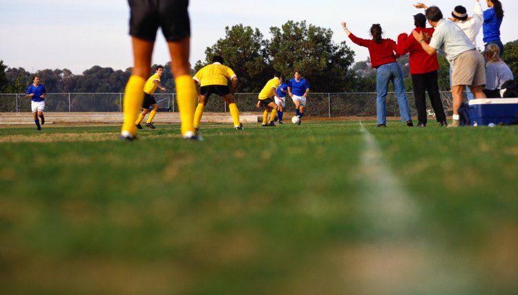 Crowd Watching Soccer Game