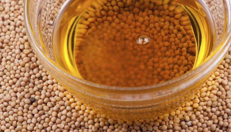 Dry mustard seeds.