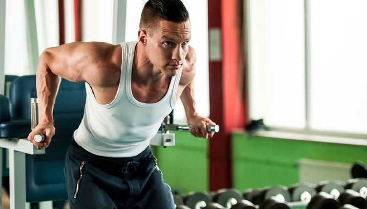 What Happens When You Build Muscle?