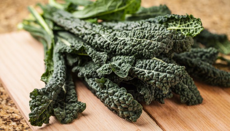 Vibrant bunch of freshly harvested lacinato kale