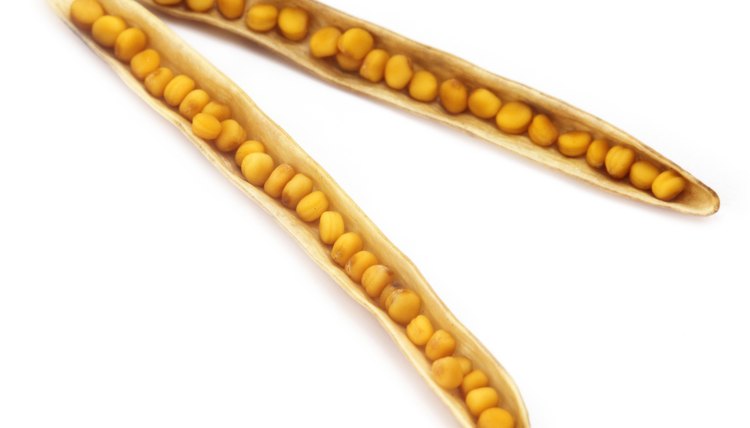 Show a picture of mustard seeds.