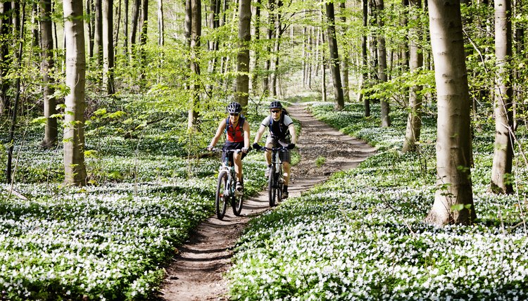 What Does Cycling Do for Your Body and Legs?