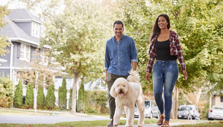 Couple Walking Dog Along Suburban Street