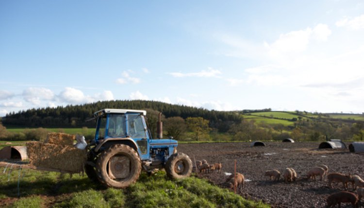 hobby farm grants hobby farm grants