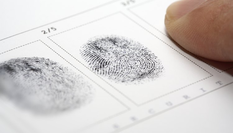 how-to-check-on-my-fingerprint-background-check-status-legalbeagle