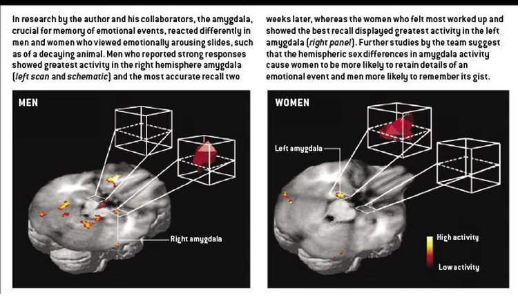 Gray and white matter differ by gender