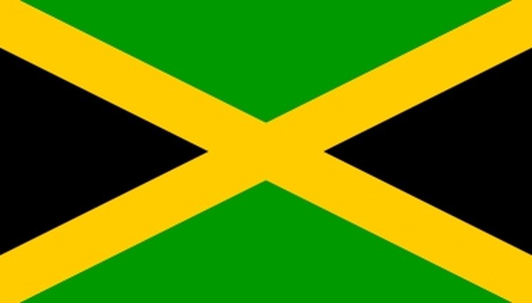  Jamaican  Theme Birthday Party  Ideas  Synonym