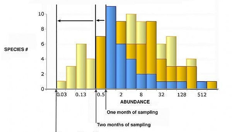 How to Construct a Grouped Frequency Distribution Chart Using Classes ...