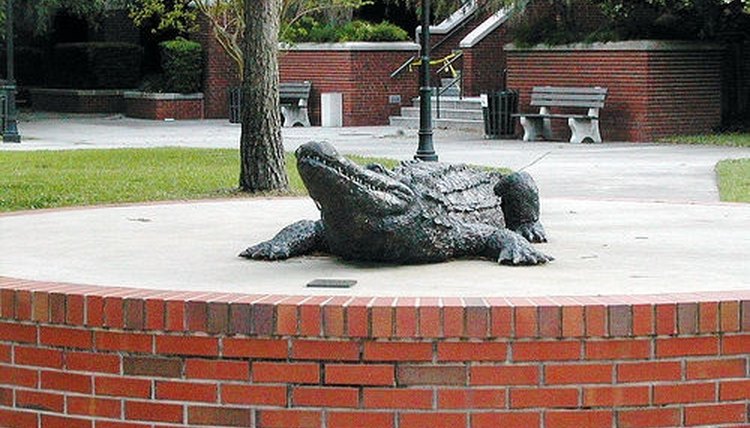 The University of Florida is the heart of Gainesville.