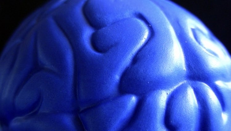 Development of the human brain is integral to learning counseling.