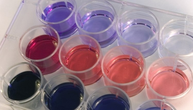 An ELISA reader measures and quantitates the color differences in the 12 wells of the plate.