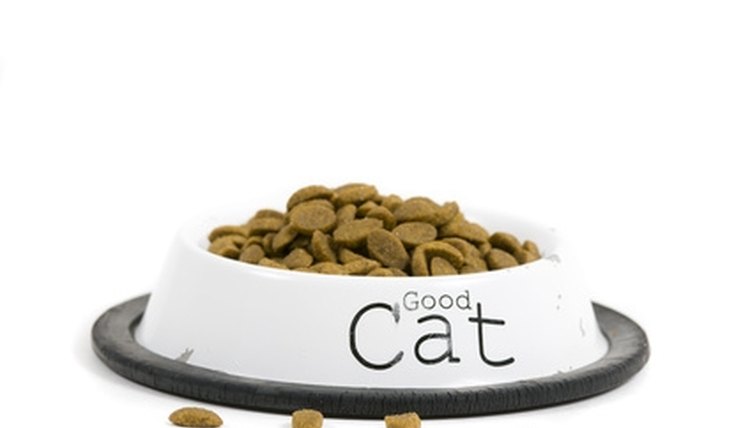 Example: The three cats' food spilled on the floor.