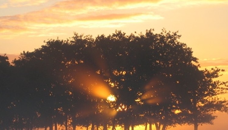 Will the sun rise tomorrow? This is a good question for