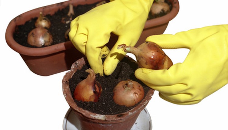 Use garden tools to decorate tables.