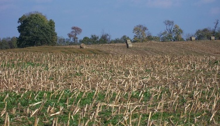 Traditional Amish farmstead