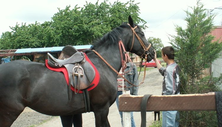 Materials needed for horse riding is an interesting topic for a speech.