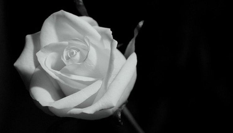 Honor your loved one through an inspiring memorial service.