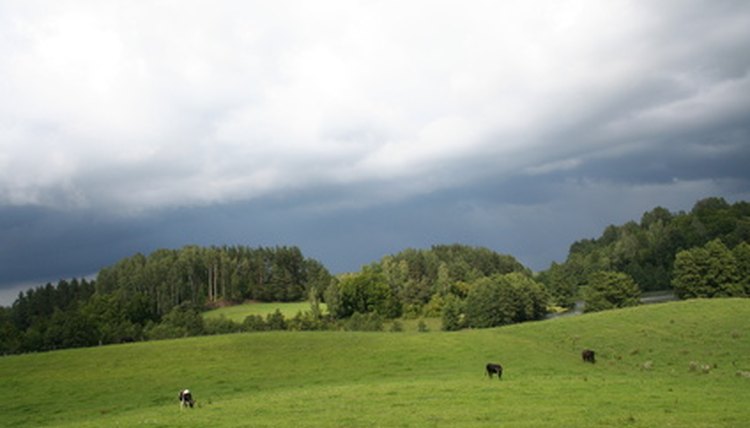 John Deere's rotary cutters help keep pastures trimmed.