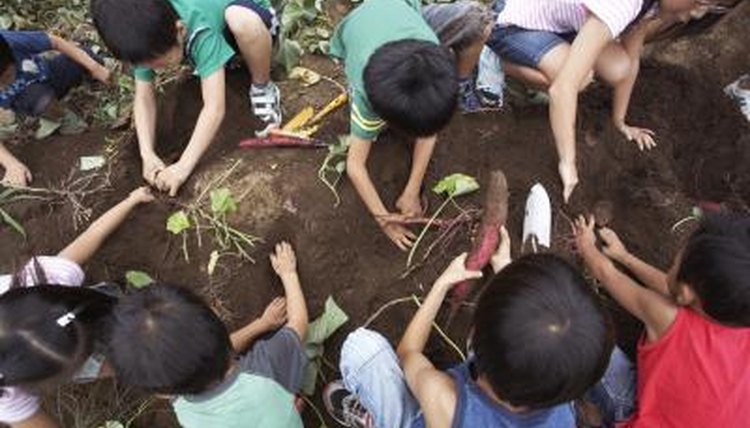 Schools should work with community programs.