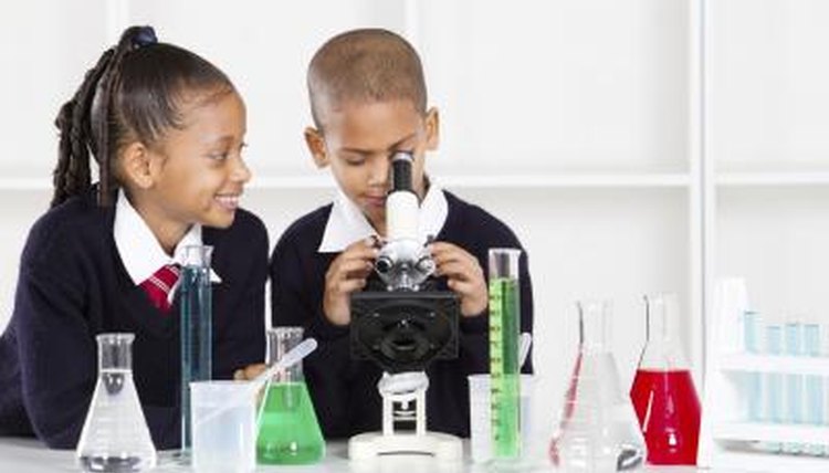 Two young students use a microscope to study different types of organisms