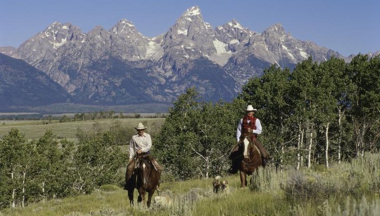 Two cowboys on horseback riding through a grassy valley with a dog.