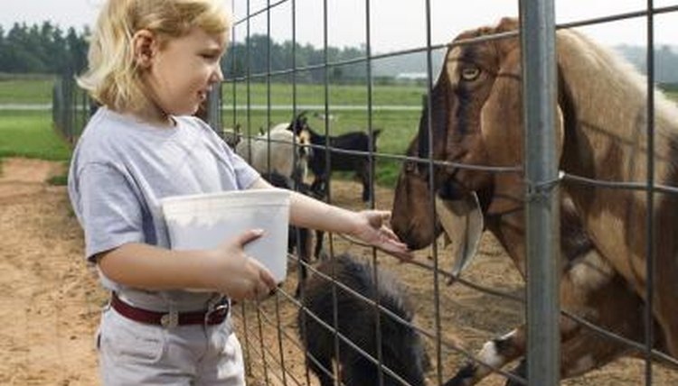 Field trips provide entertainment for students.