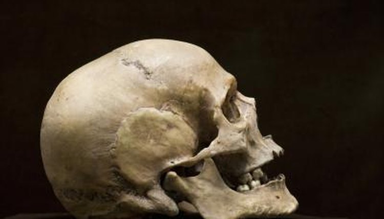 Foresnic anthropologists may be able to identify human remains.
