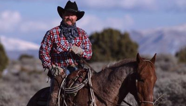 Cowboy on horse.