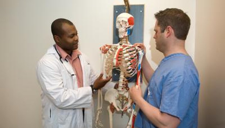 Job-shadowing and volunteer work helps to focus your interests.