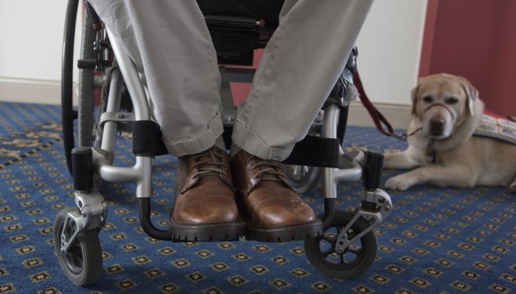 Man in wheelchair with a service dog