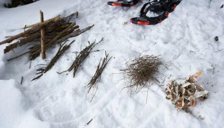 Students can write about survival techniques.