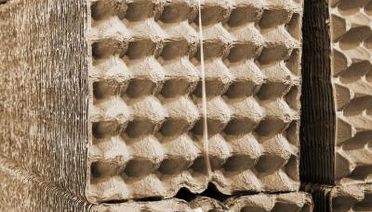 Egg cartons that have been produced from recycled paper in a facility.